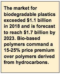 bio base polymers market size